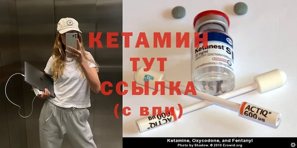 амф Новодвинск