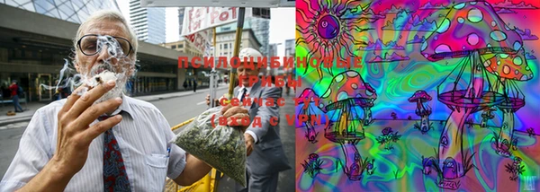 МДМА Новозыбков