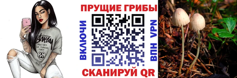 KRAKEN   Богданович  Галлюциногенные грибы MAGIC MUSHROOMS 