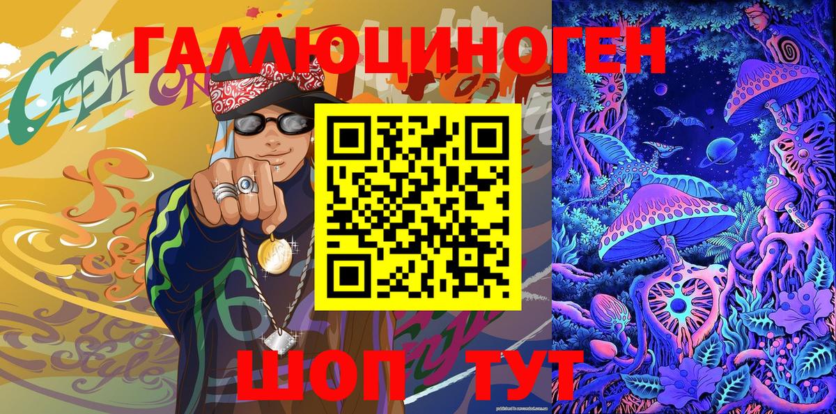 Галлюциногенные грибы MAGIC MUSHROOMS  Псилоцибиновые грибы прущие грибы  Богданович 