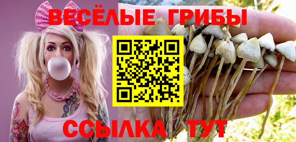 Псилоцибиновые грибы прущие грибы Богданович