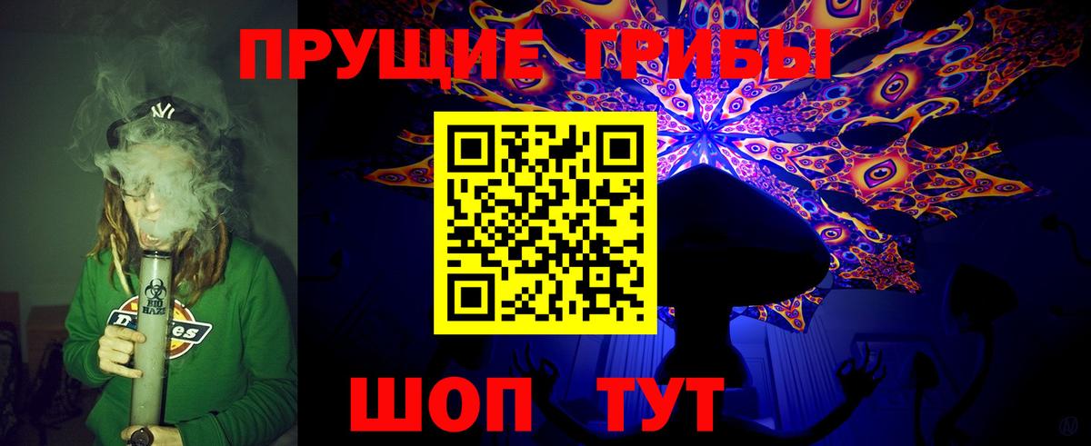 Галлюциногенные грибы GOLDEN TEACHER Богданович