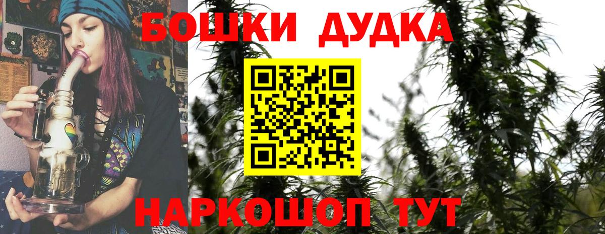 Каннабис индика Богданович